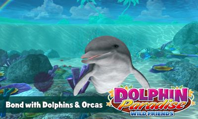 Full version of Android apk app Dolphin paradise. Wild friends for tablet and phone.