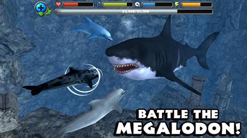 Full version of Android apk app Dolphin simulator for tablet and phone.