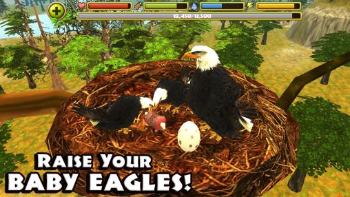Full version of Android apk app Eagle simulator for tablet and phone.