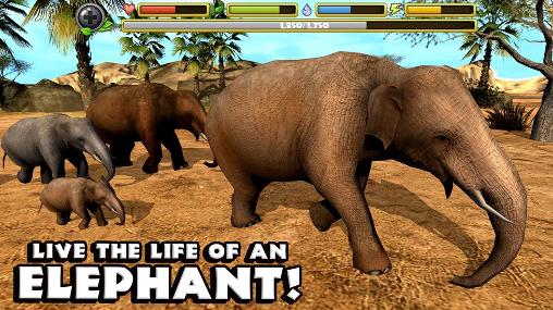 Full version of Android apk app Elephant simulator for tablet and phone.