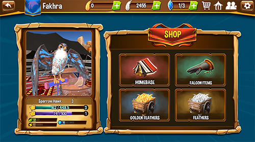 Gameplay of the Falcon valley multiplayer race for Android phone or tablet.