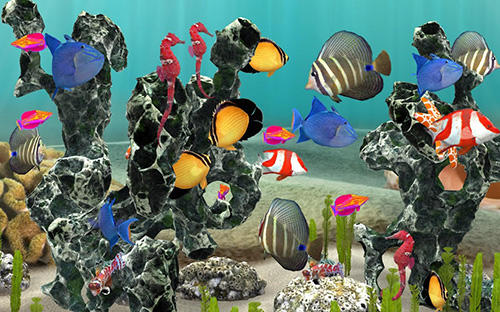 Gameplay of the Fish farm 3: 3D aquarium simulator for Android phone or tablet.