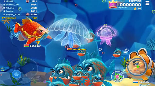 Gameplay of the Fish now: Online io game and PvP battle for Android phone or tablet.