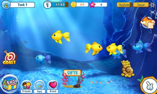 Full version of Android apk app Fish adventure: Seasons for tablet and phone.