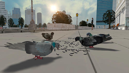 Full version of Android apk app Flying bird pigeon simulator 2 for tablet and phone.