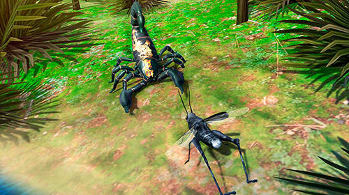 Gameplay of the Grasshopper insect simulator for Android phone or tablet.
