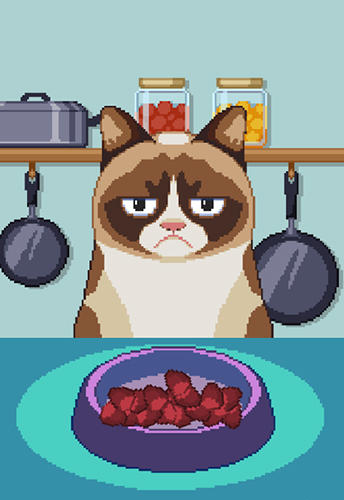 Gameplay of the Grumpy cat's worst game ever for Android phone or tablet.