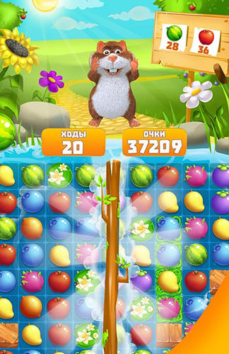 Gameplay of the Hamster: Match 3 game for Android phone or tablet.