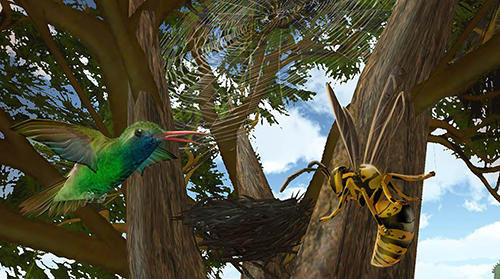 Gameplay of the Hummingbird simulator 3D for Android phone or tablet.