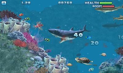Full version of Android apk app Hungry Shark - Part 3 for tablet and phone.