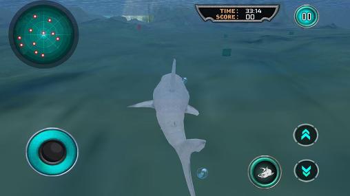 Full version of Android apk app Hungry white shark revenge 3D for tablet and phone.