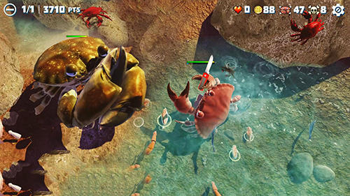 Gameplay of the King of crabs for Android phone or tablet.