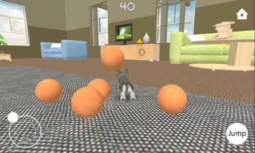 Full version of Android apk app Kitten simulator for tablet and phone.