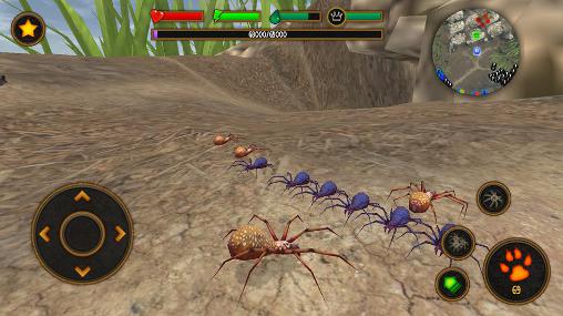 Full version of Android apk app Life of spider for tablet and phone.