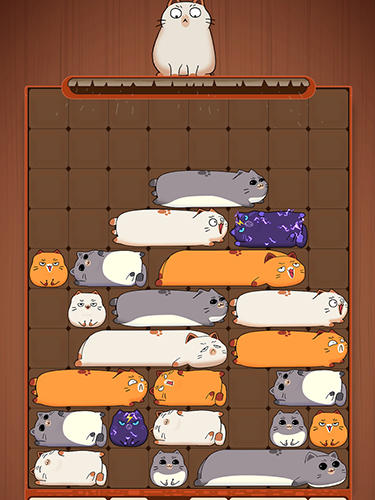 Gameplay of the Maru slide: Block puzzle for Android phone or tablet.