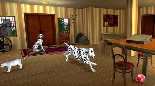 Gameplay of the My dalmatian dog sim: Home pet life for Android phone or tablet.