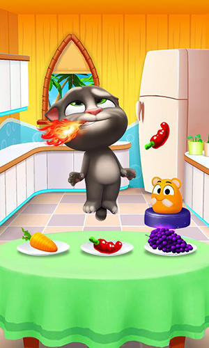 Gameplay of the My talking Tom 2 for Android phone or tablet.