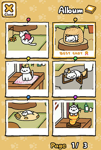 Gameplay of the Neko atsume: Kitty collector for Android phone or tablet.