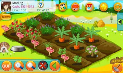 Full version of Android apk app Papaya Farm for tablet and phone.