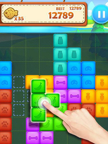 Gameplay of the Pet block puzzle: Puzzle mania for Android phone or tablet.
