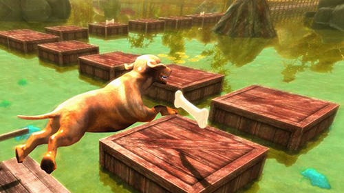 Gameplay of the Pet dog games: Pet your dog now in Dog simulator! for Android phone or tablet.