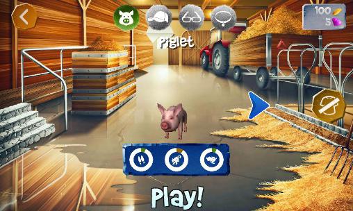 Full version of Android apk app Pig simulator for tablet and phone.