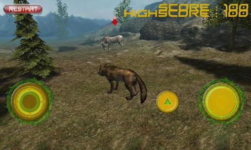Full version of Android apk app Real wolf simulator for tablet and phone.