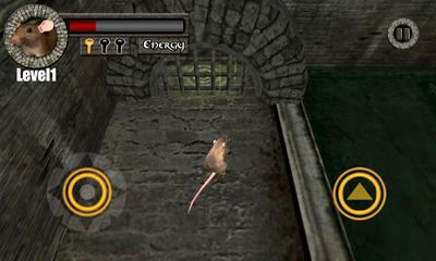 Full version of Android apk app Sewer Rat Run for tablet and phone.