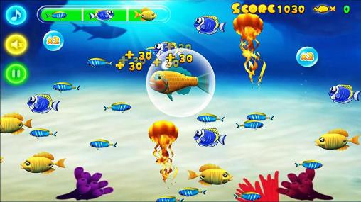 Full version of Android apk app Shark fever for tablet and phone.