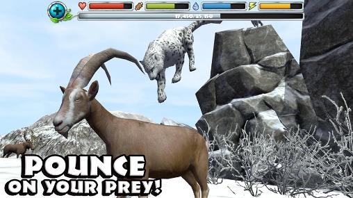 Full version of Android apk app Snow leopard simulator for tablet and phone.