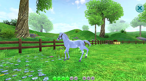 Gameplay of the Star stable horses for Android phone or tablet.