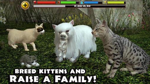 Full version of Android apk app Stray cat simulator for tablet and phone.