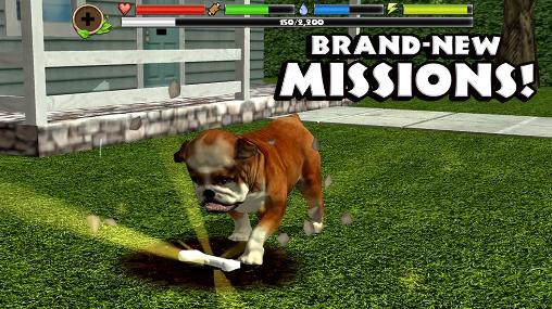 Full version of Android apk app Stray dog simulator for tablet and phone.