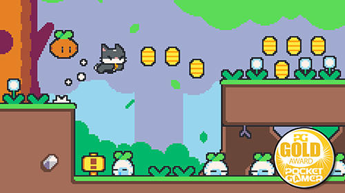 Gameplay of the Super cat bros for Android phone or tablet.