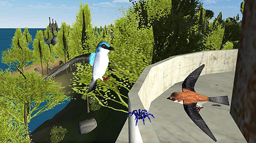 Gameplay of the Swallow simulator: Flying bird adventure for Android phone or tablet.