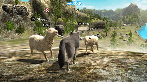 Gameplay of the The wolf: Online simulator for Android phone or tablet.