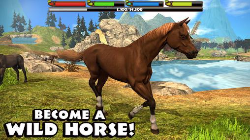 Full version of Android apk app Ultimate horse simulator for tablet and phone.