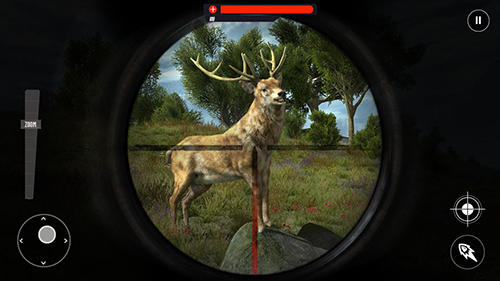Gameplay of the Wild animal jungle hunt: Forest sniper hunter for Android phone or tablet.
