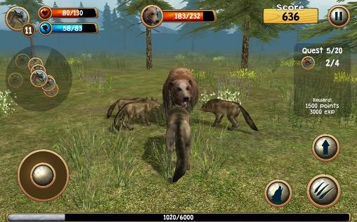 Full version of Android apk app Wild wolf simulator 3D for tablet and phone.