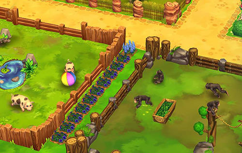Gameplay of the Zoo 2: Animal park for Android phone or tablet.
