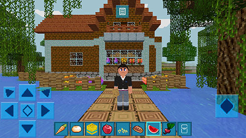 Gameplay of the Adventure craft: Survive and craft for Android phone or tablet.