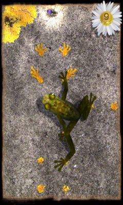 Gameplay of the Ancient Frog for Android phone or tablet.