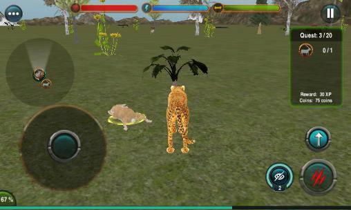 Gameplay of the Angry cheetah simulator 3D for Android phone or tablet.