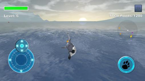 Gameplay of the Arctic penguin for Android phone or tablet.