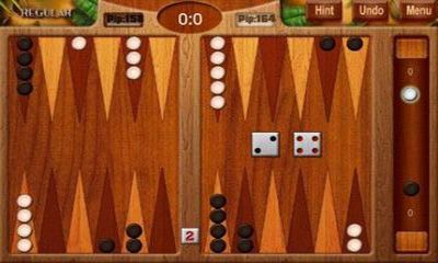Gameplay of the Backgammon Deluxe for Android phone or tablet.