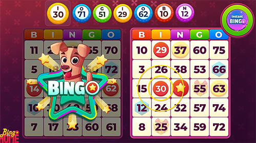 Bingo my home - Android game screenshots.