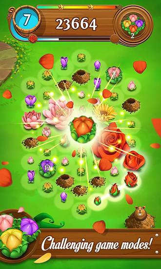 Gameplay of the Blossom blast saga for Android phone or tablet.