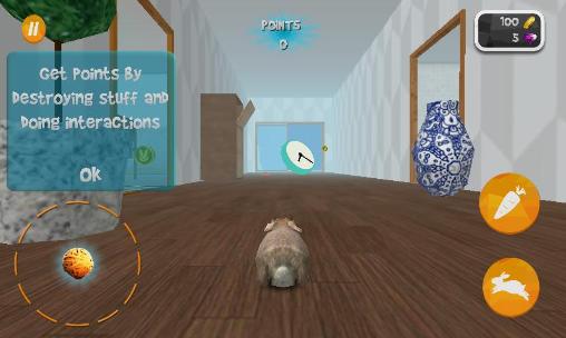 Gameplay of the Bunny simulator for Android phone or tablet.