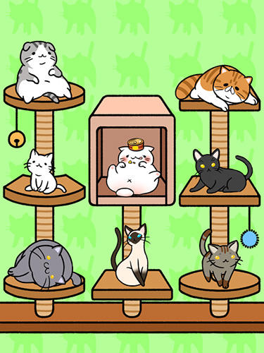 Cat condo - Android game screenshots.
