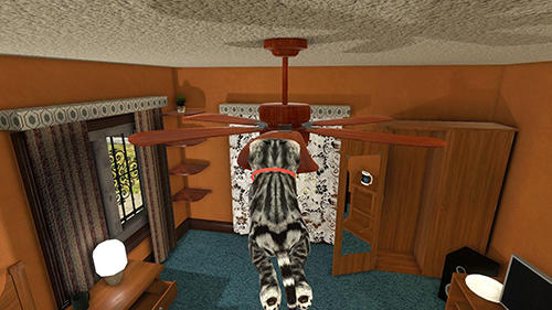 Cat simulator: Kitty craft! - Android game screenshots.